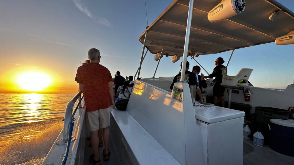 Enjoy a Top Rated Dolphin Cruise in Destin, FL