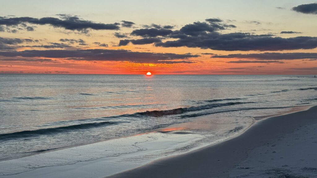 Embracing the Waves of Change