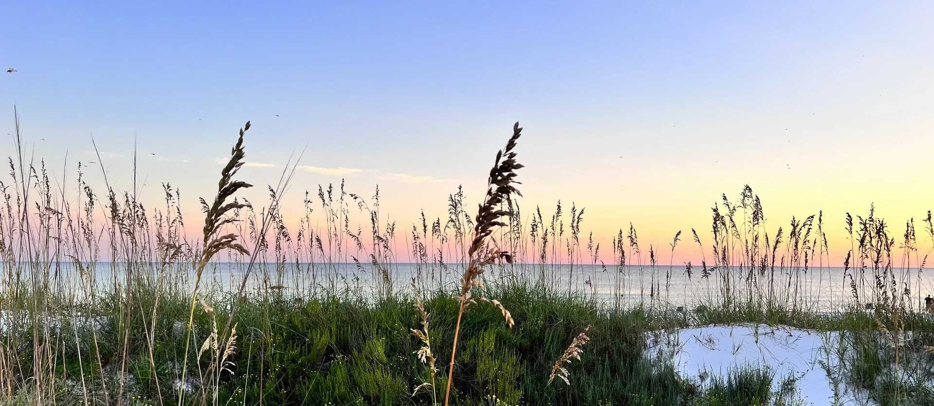 Gulf Tide Vacations