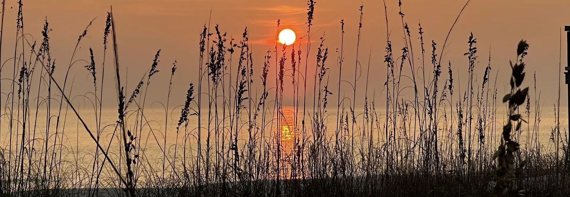 Gulf Tide Vacations