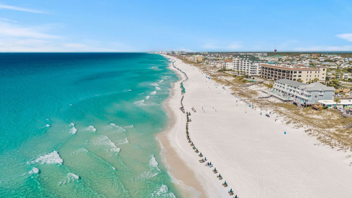 aerial photo of beach coastline